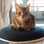 Thumbnail of related posts 119