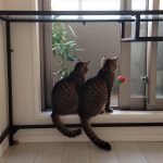 Thumbnail of related posts 184