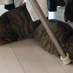 Thumbnail of related posts 041