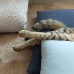 Thumbnail of related posts 012