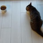 Thumbnail of related posts 054