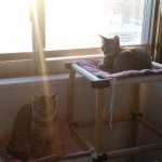 Thumbnail of related posts 096