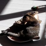 Thumbnail of related posts 112