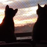 Thumbnail of related posts 013