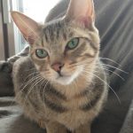 Thumbnail of related posts 091