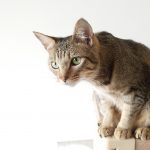 Thumbnail of post image 017